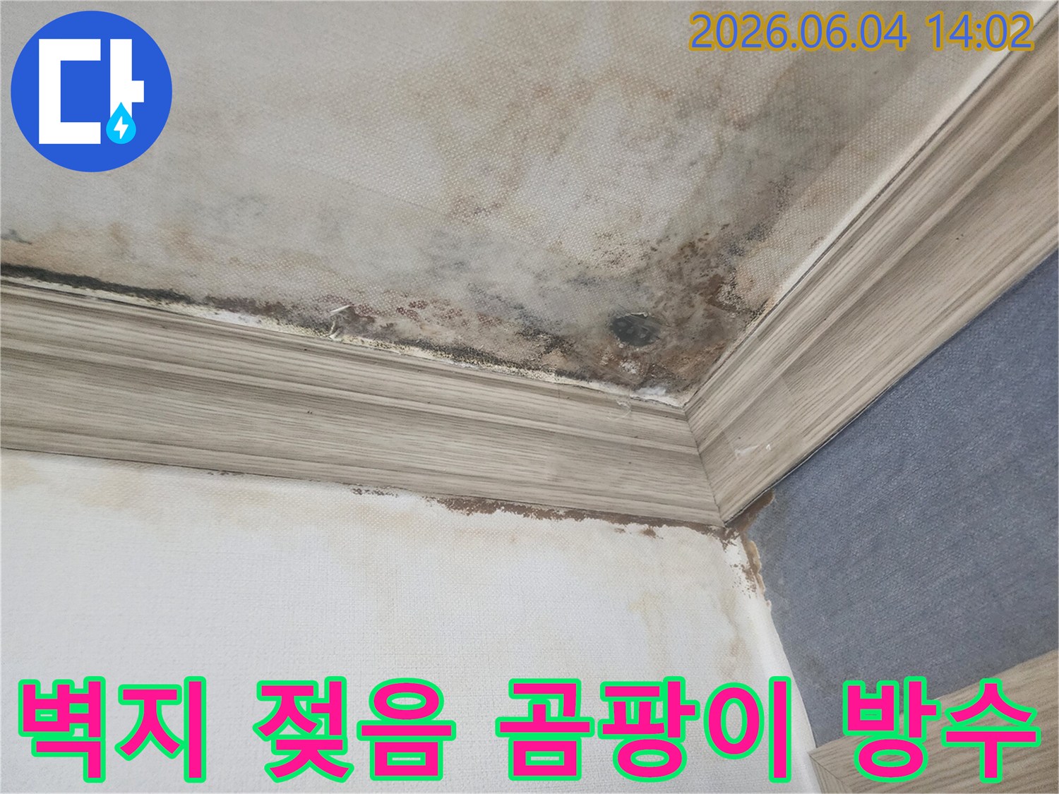 천장과 벽의 경계면에-누수로 인한 벽지 젖음과-검은 곰팡이가 번져있는-주택 내부의 손상된 모습