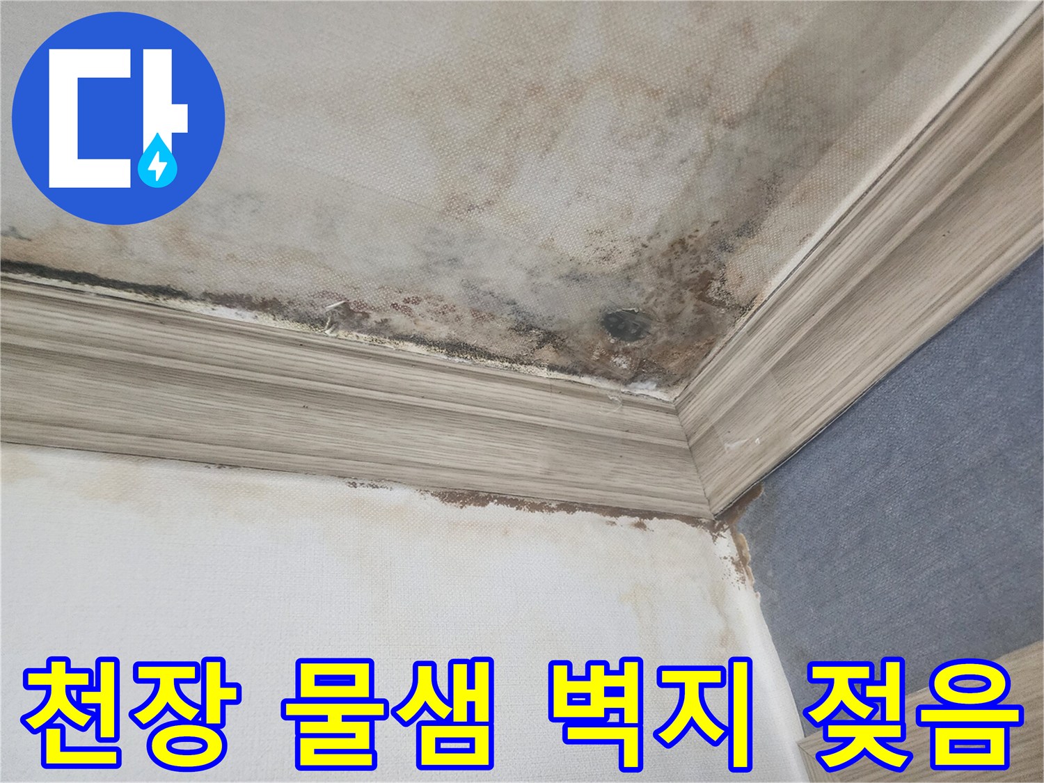 평택 빌라 천장에서 물이 새어-벽지까지 젖어버린 심각한 누수 현장으로-곰팡이가 피어오르는 모습입니다.