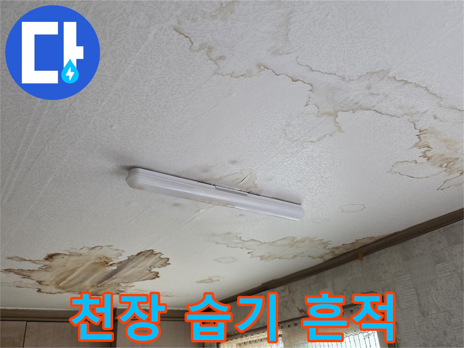 물기가 스며든-천장 벽지 오염 부위