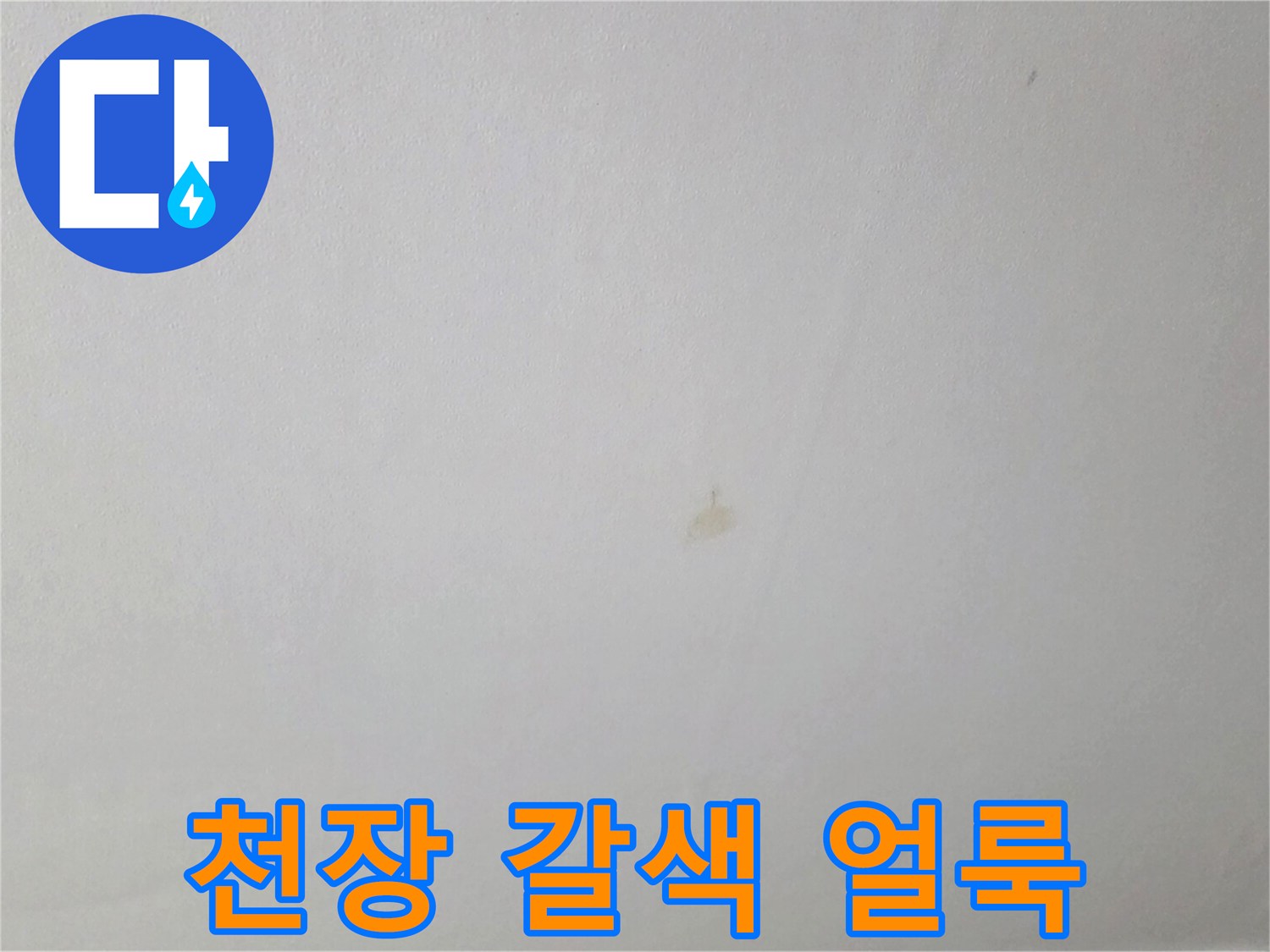 갈색으로 변한 주방 천장 누수 지점