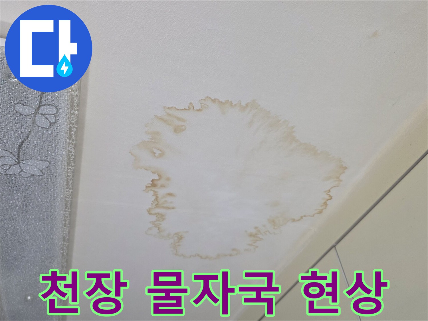갈색으로 변한 천장 누수 흔적 부위
