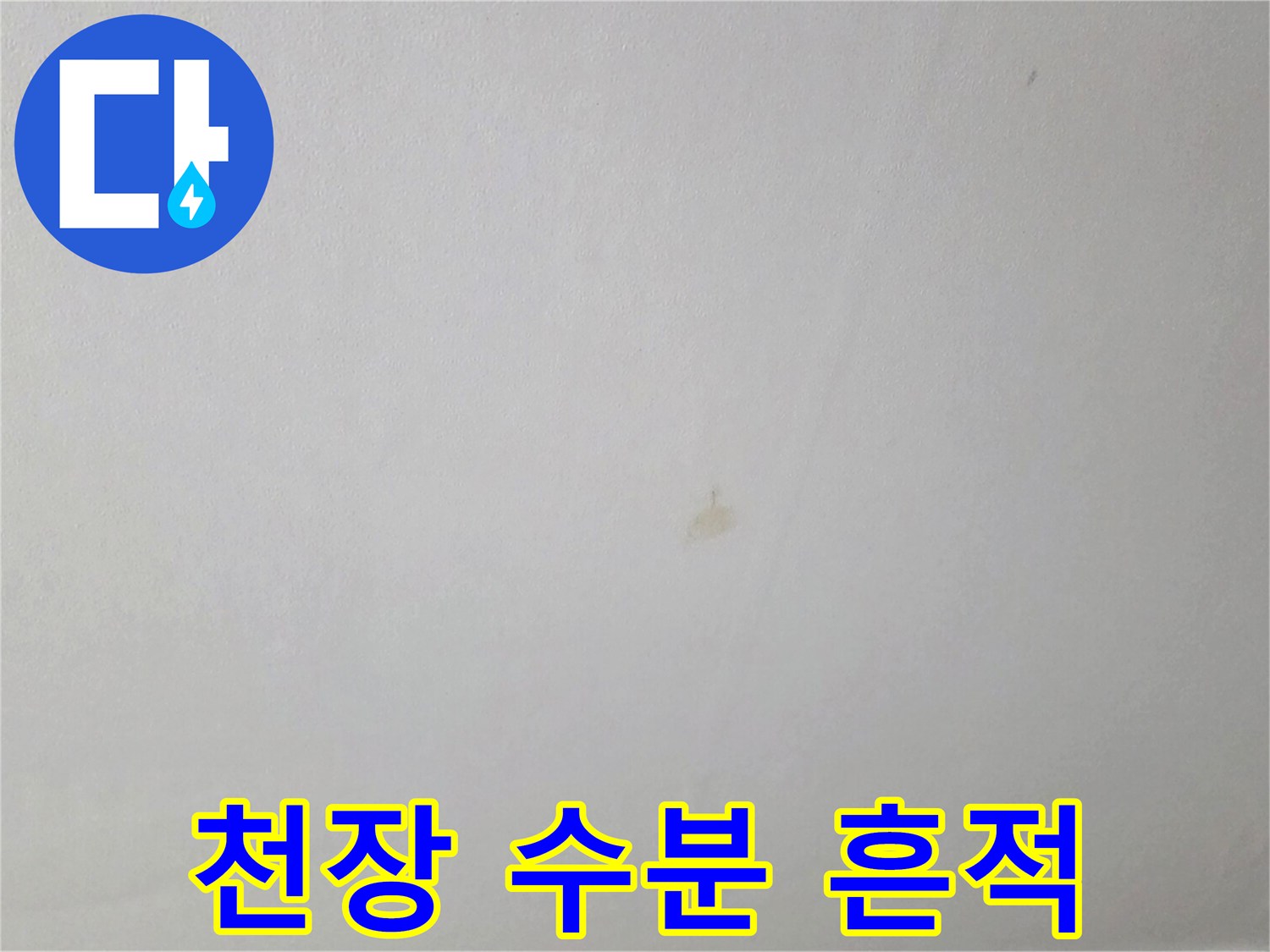 천장 도배지에 나타난 미세한 습기 자국과 얼룩