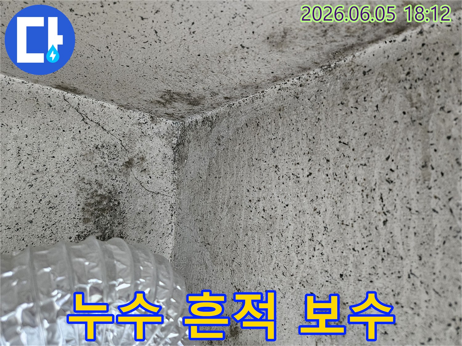 누수-전문가가-진단한-벽면-곰팡이와-균열-현장-사진
