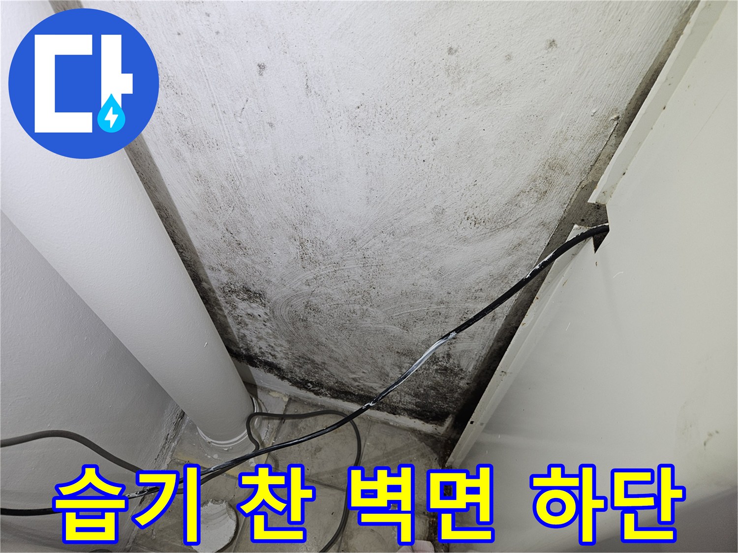 배관 주변 벽면의 곰팡이와 습기로 인한 도색 박리