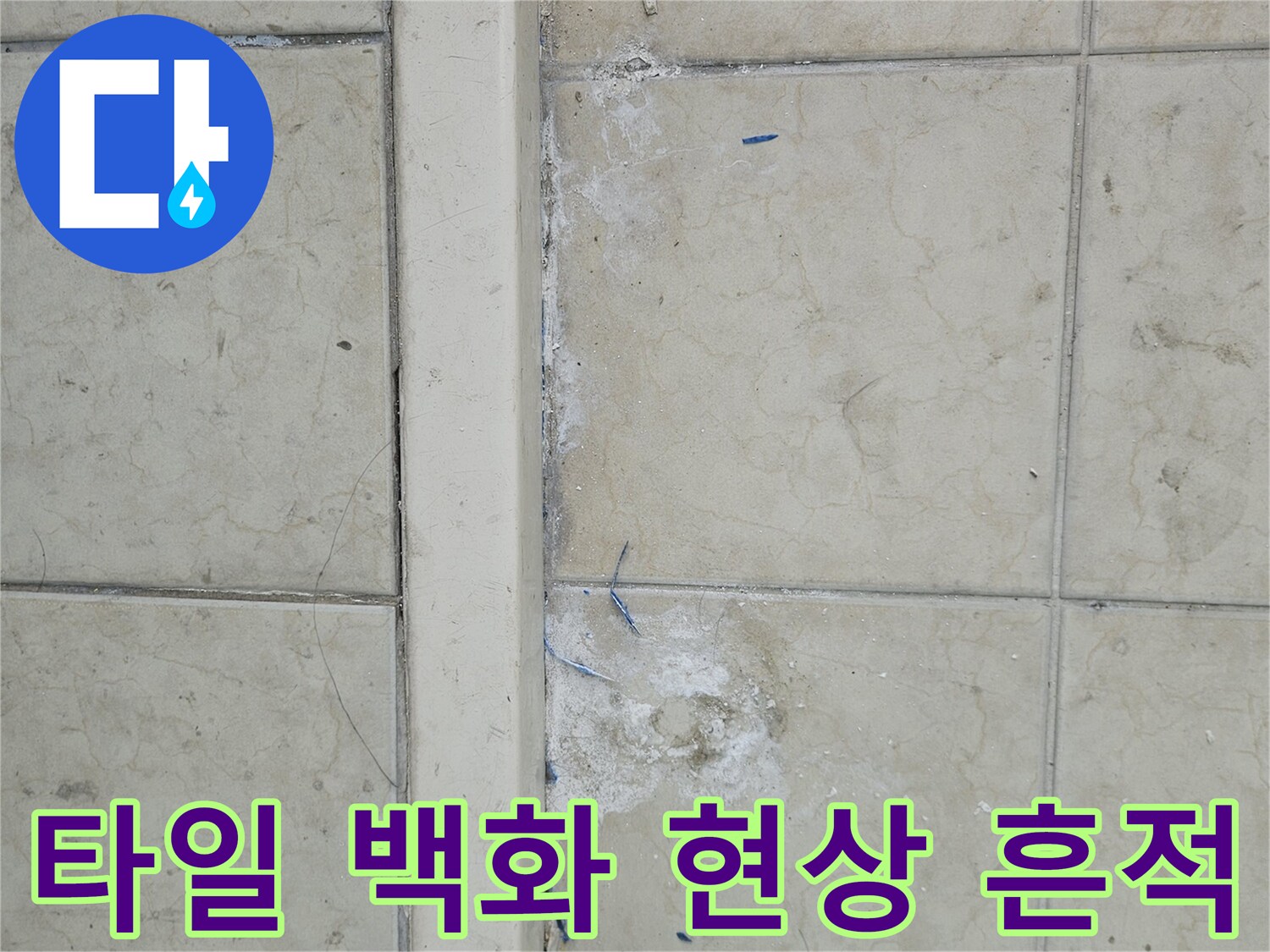 베란다-타일-틈새에-발생한-하얀색-백화-현상-사진