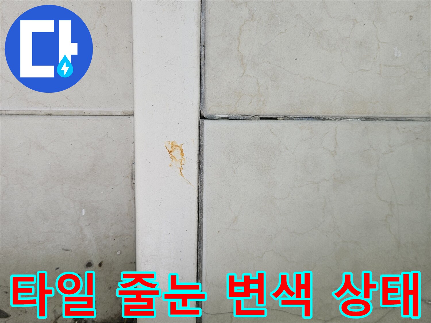 습기로 인해 어둡게 변하고 백화가 일어난 타일 경계면 사진
