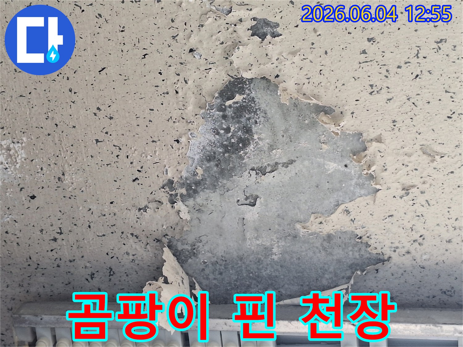 오래된 누수로 인해 곰팡이가 발생하고-페인트가 벗겨진 천장 모습입니다.