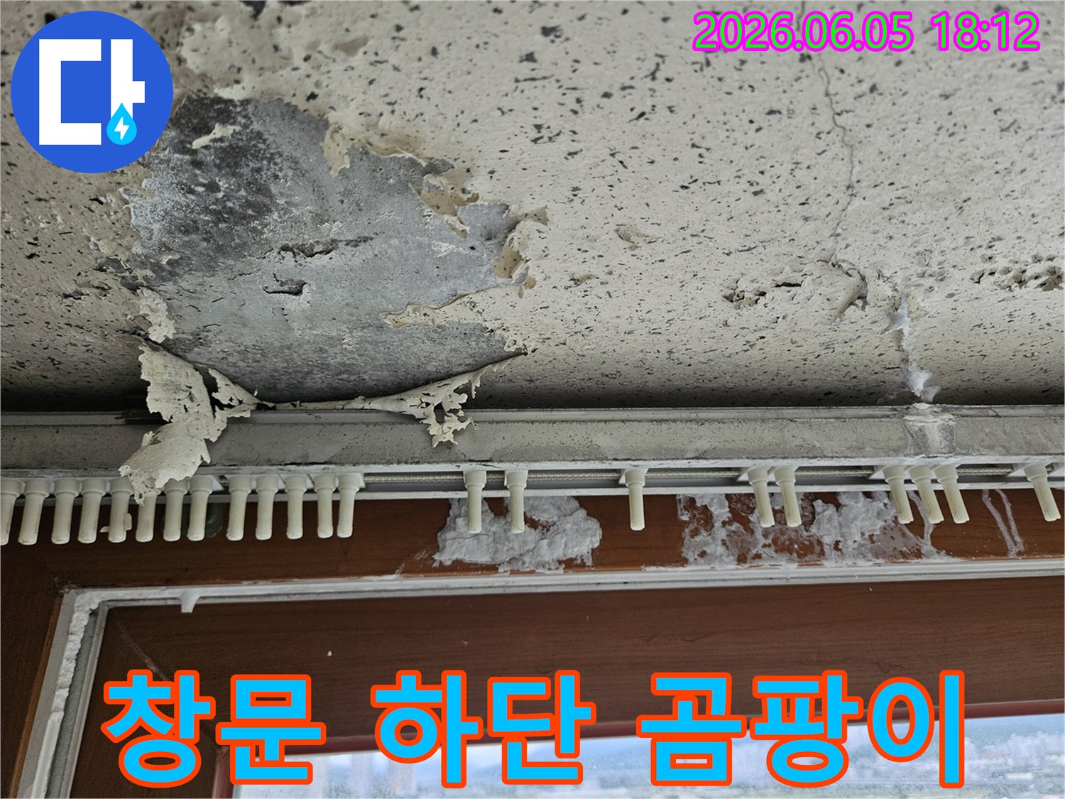 창문 아래 벽면에서-발견된 곰팡이와-누수로 인한-벽지 손상 현장