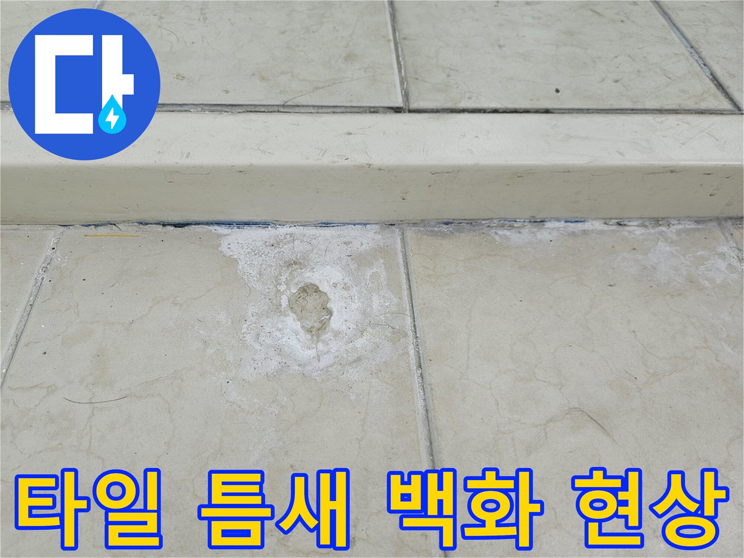 하얗게 올라온 타일 줄눈과 주변의 변색된 바닥 상태