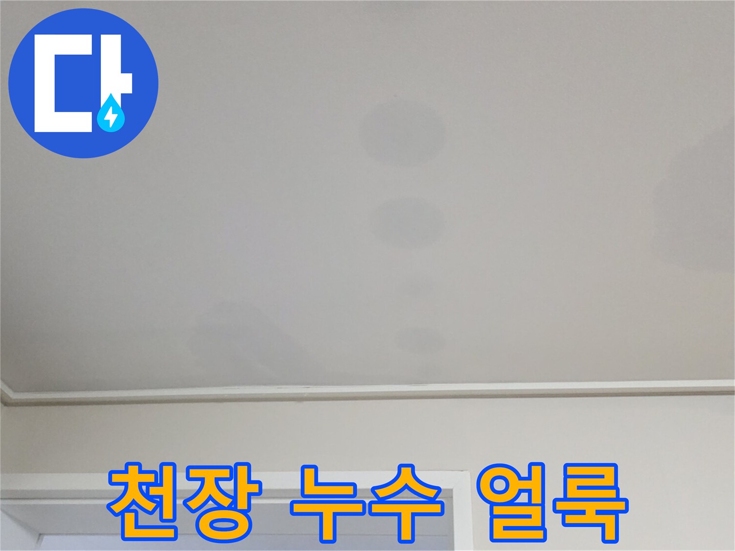 거실 천장 벽지에 발생한 둥근 형태의 물샘 흔적 사진