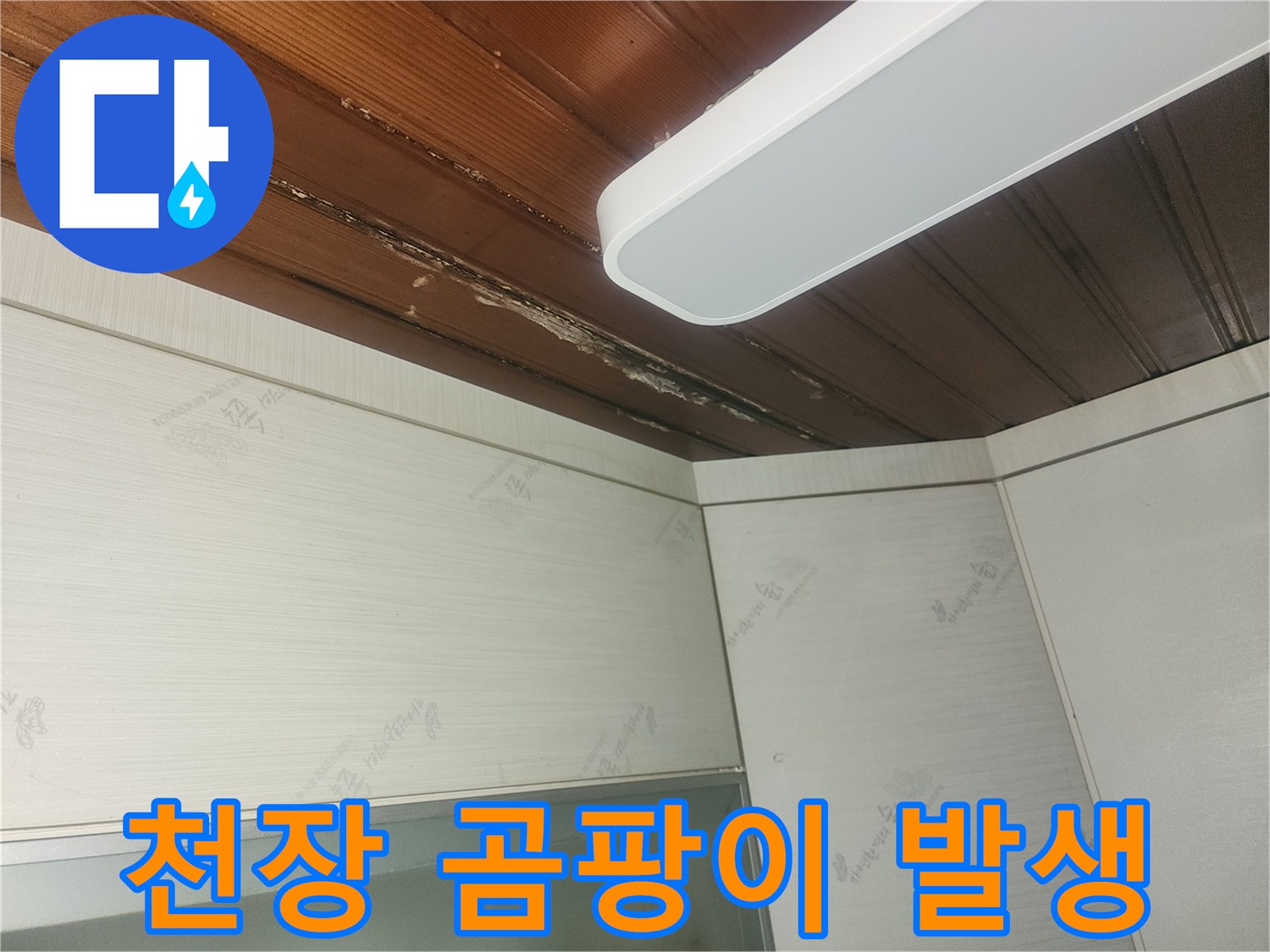 윗집에서-새는-물로-인해-천장에-생긴-물자국과-곰팡이-징후