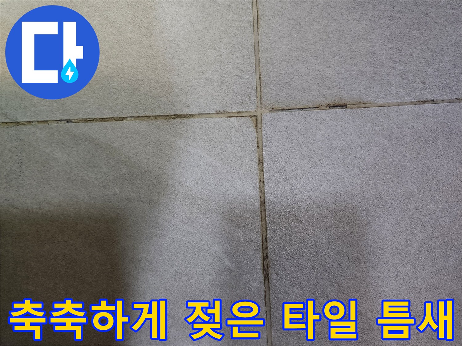 타일 사이 틈새에 습기가 머물러 있는 사진입니다.