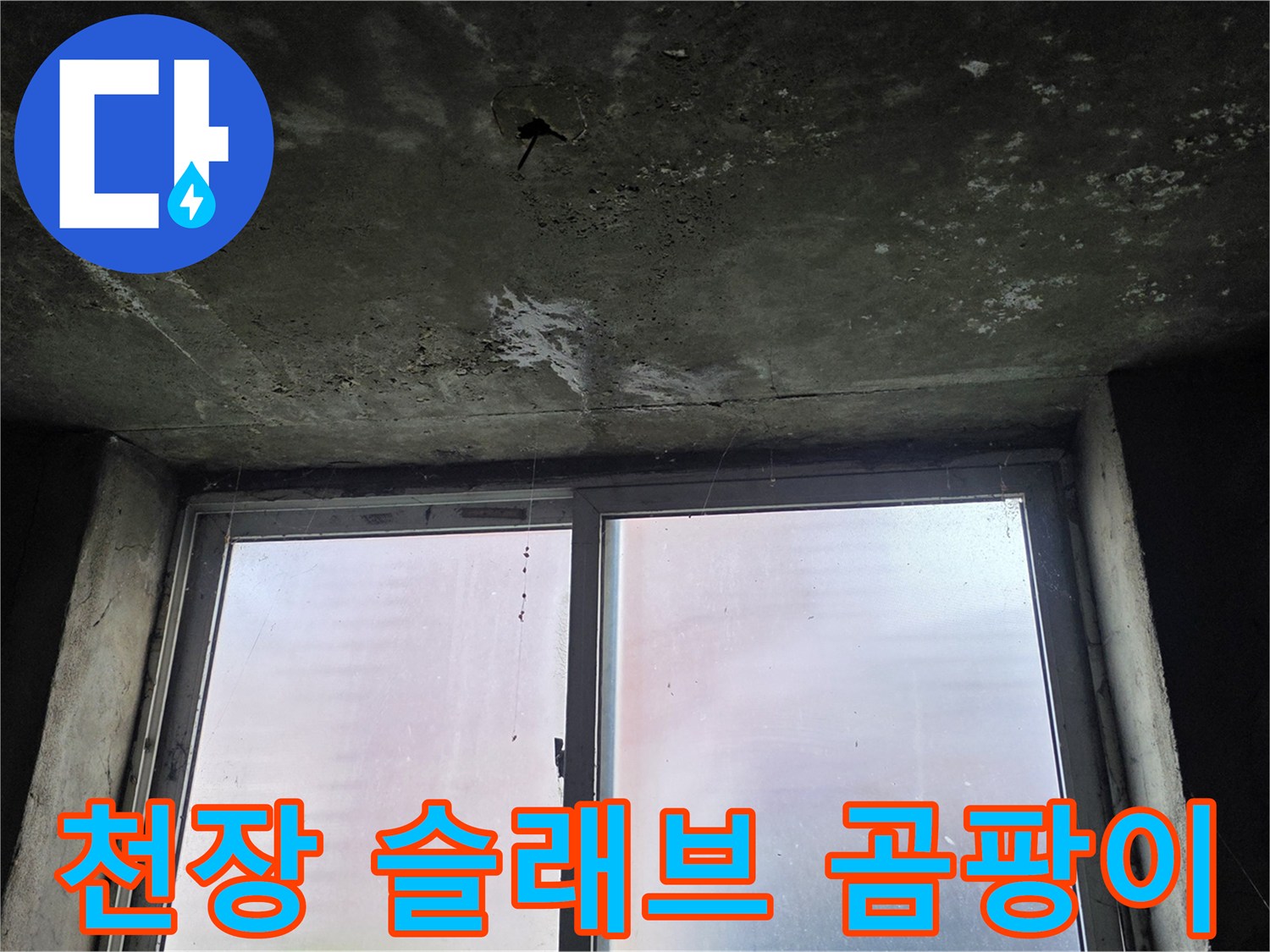 콘크리트-천장-면-습기-및-곰팡이-발생-상태