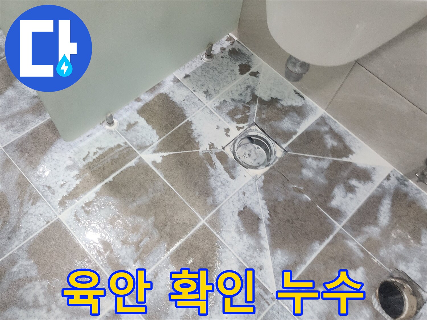 경기 고양시-욕실 바닥 타일-배수구 주변에 나타난-하얀 물자국과 변색으로-육안으로 확인된-누수 문제점을 보여주는 사진