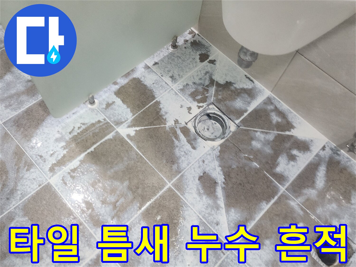일산동구 아파트-욕실 바닥 타일-줄눈 사이로 스며든-물기로 인한 변색과-하얀 침전물을 보여주는-누수 현장 사진