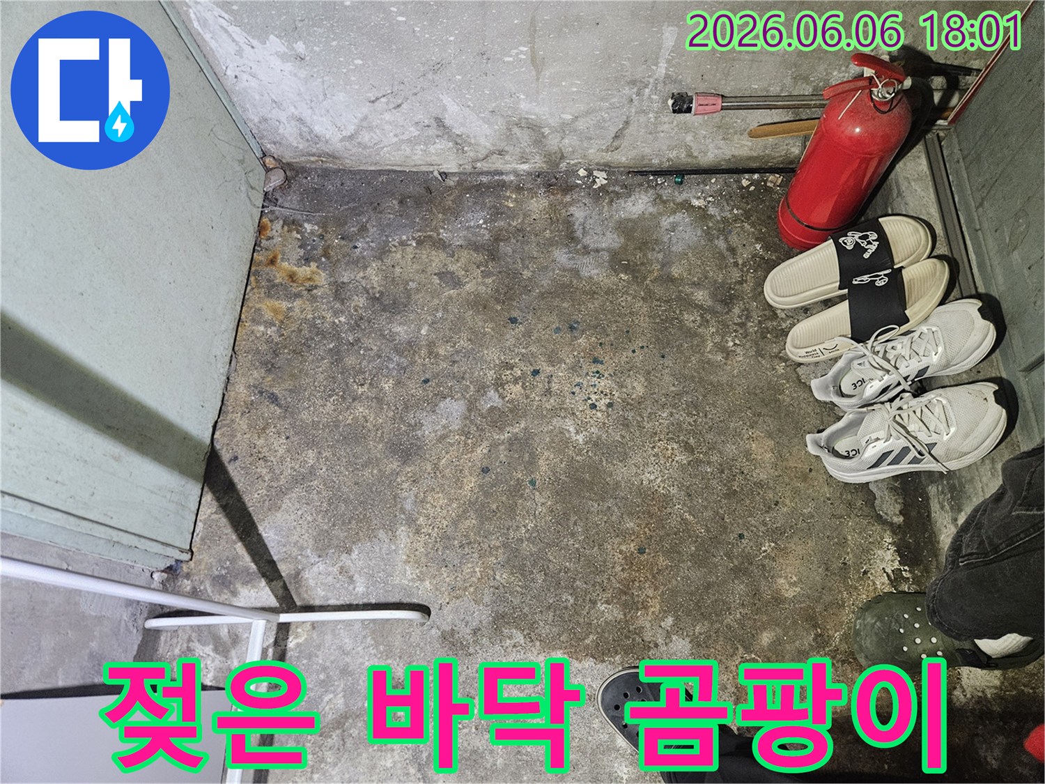 젖은-콘크리트-바닥과-벽-모서리에-생긴-곰팡이-그리고-소화기가-놓여있는-모습