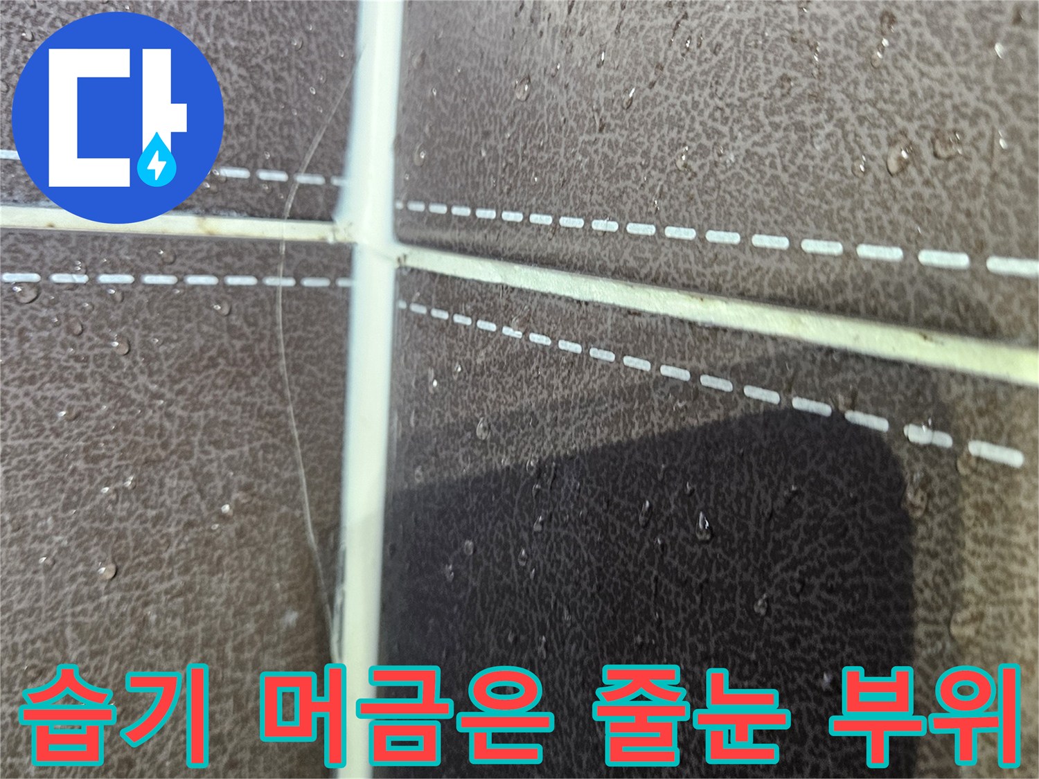 타일-틈새로-물이-스며든-현장-사진