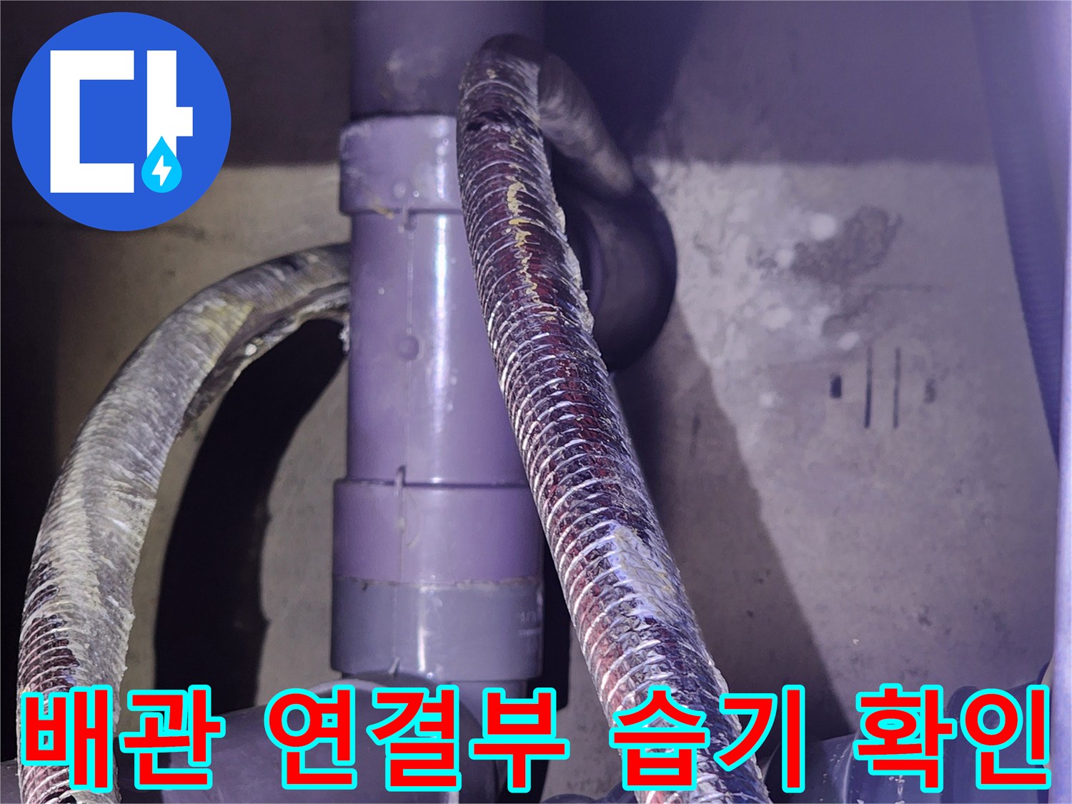 분당 정자동-젖어있는 배관 부속 및 주름관 상태