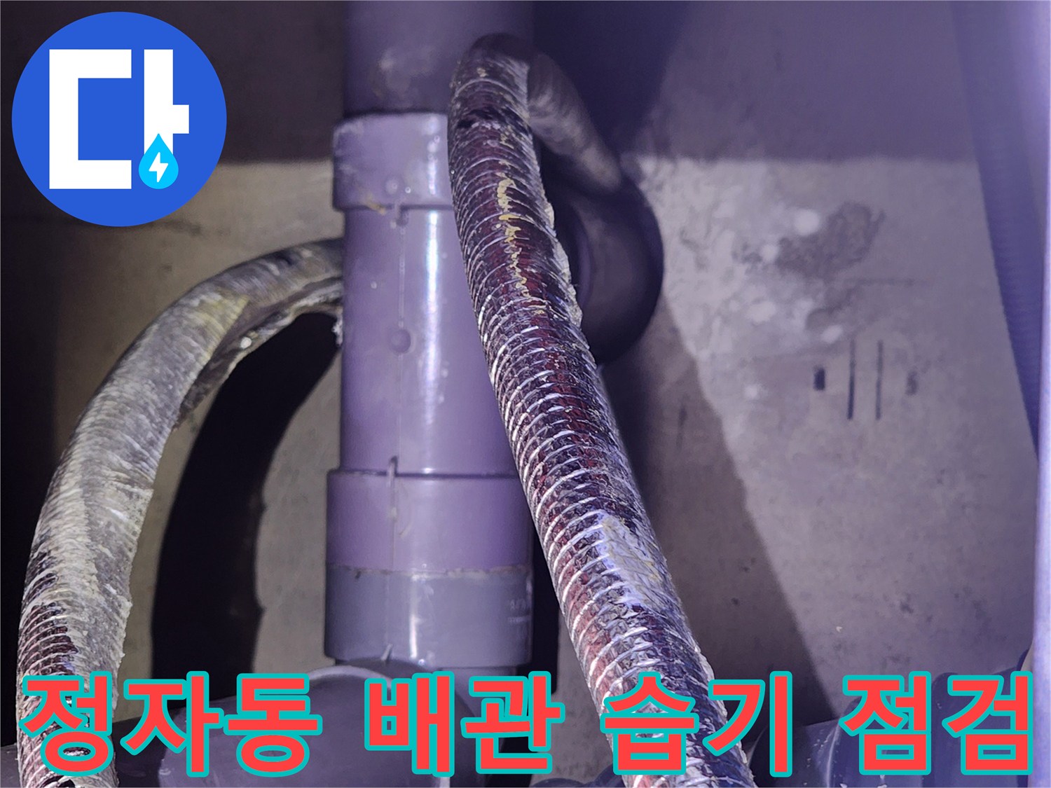 분당 정자동-젖어있는 배관 연결 부위 상세 사진