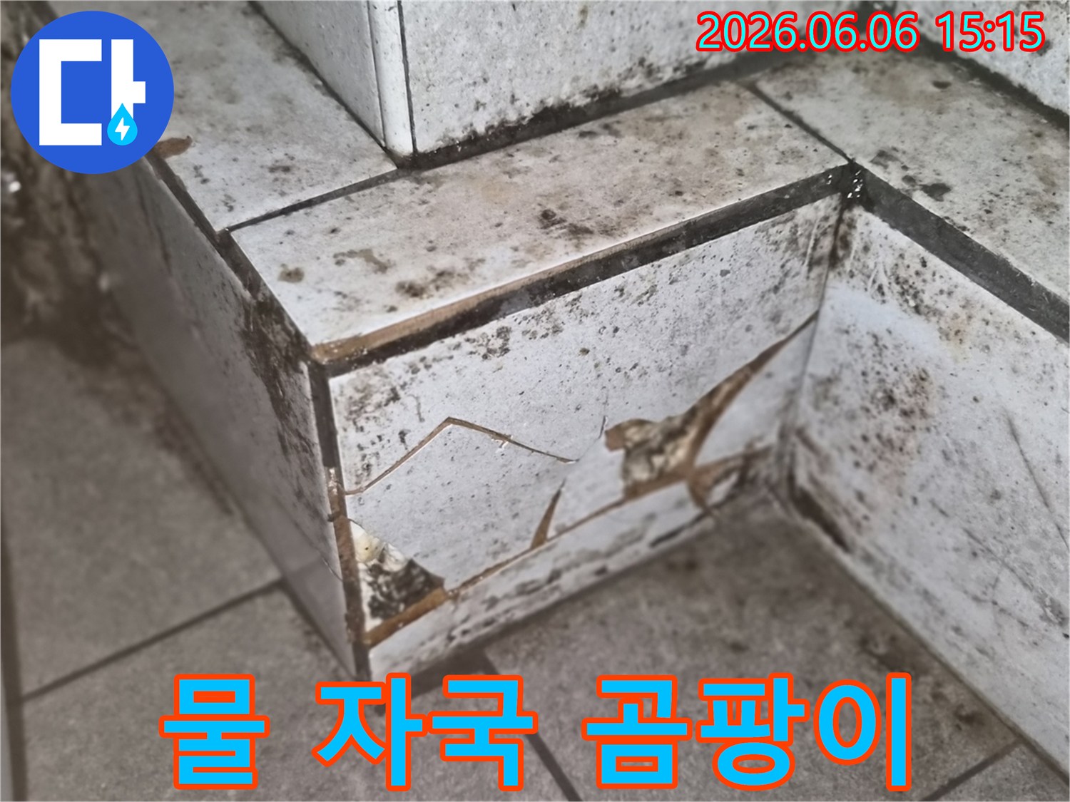 타일의 물 자국과-검은 곰팡이로 뒤덮인-누수 발생 지점을-선명하게 보여주는 사진