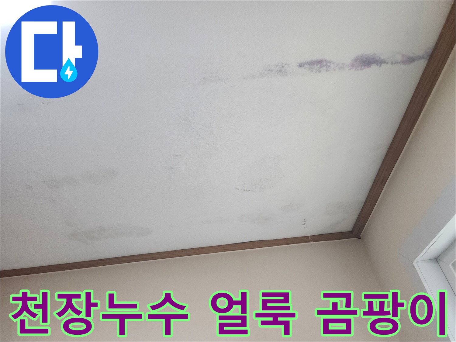 천장에 발생한-누수 얼룩과-곰팡이 흔적을-보여주는 사진