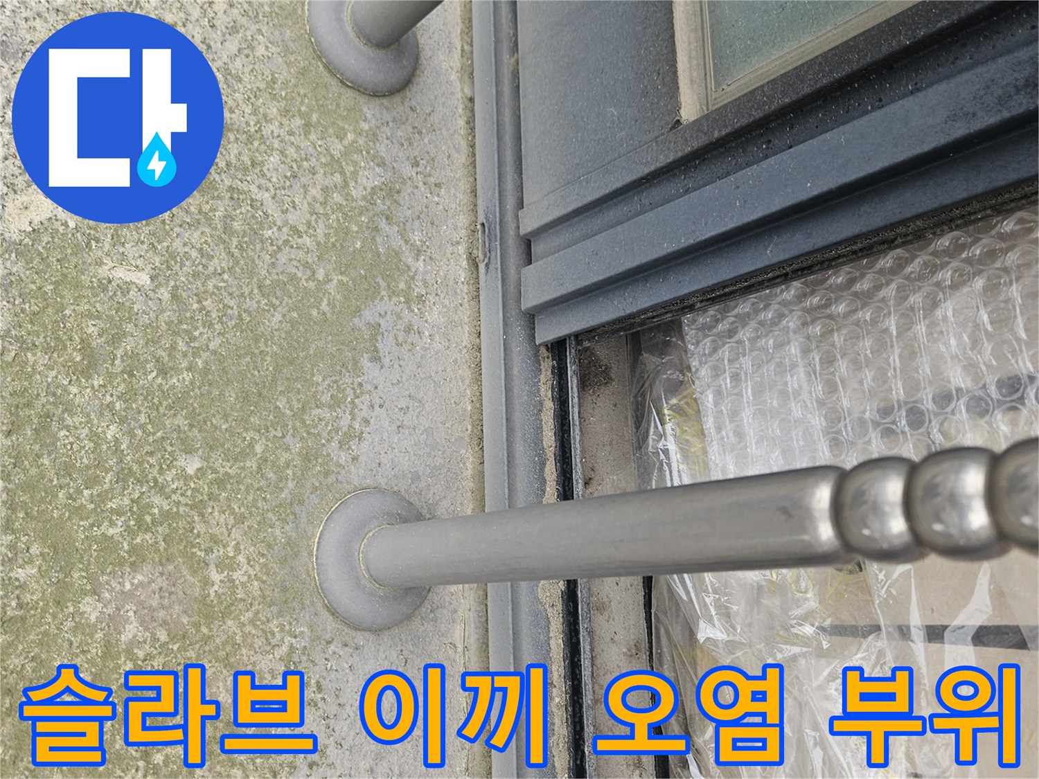 콘크리트 천장-습기로 인해 발생한 녹색 이끼층