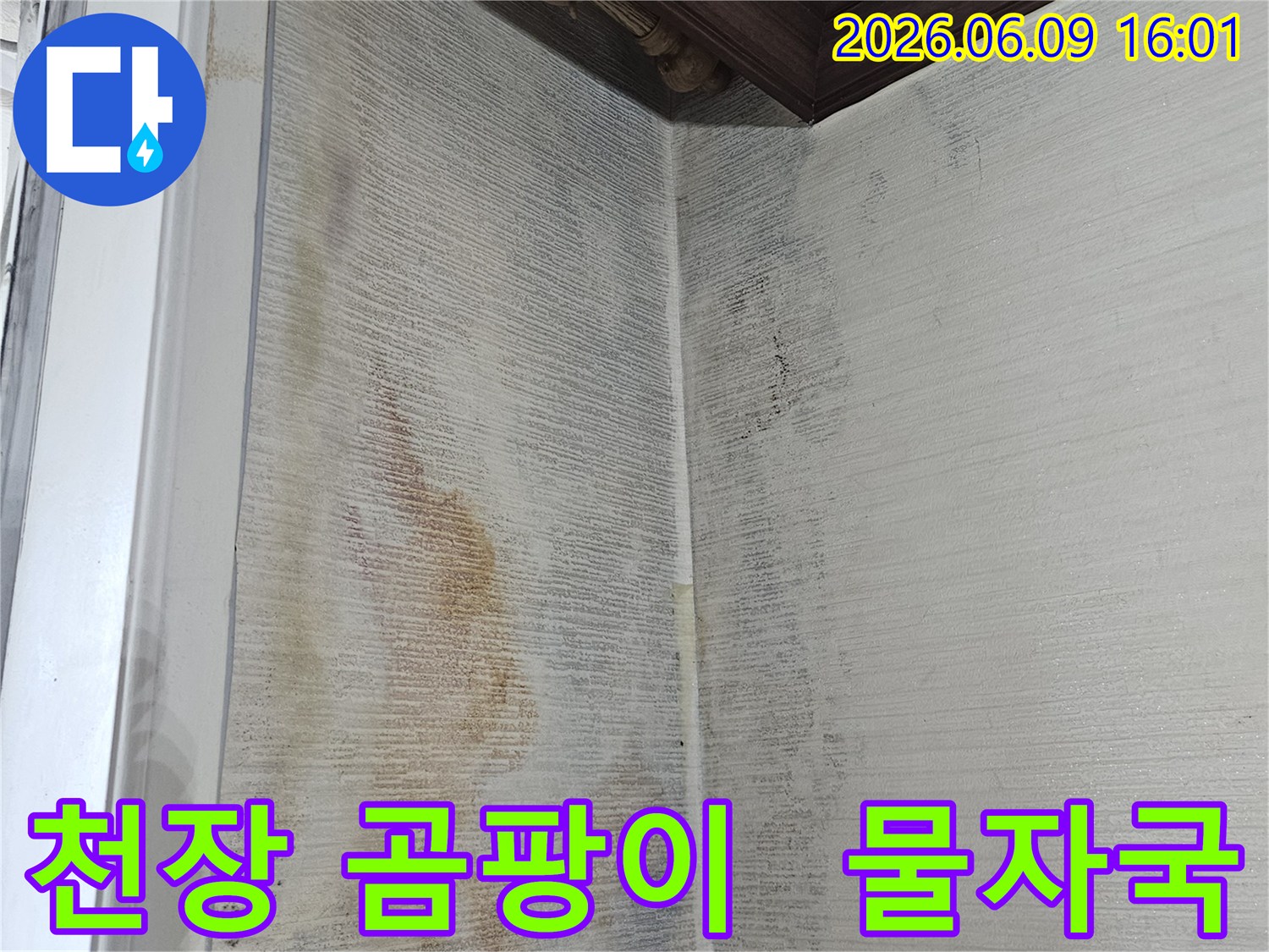 천장 모서리 부분에-물 자국과-검은 곰팡이가-심하게 번져있는-누수 현장입니다