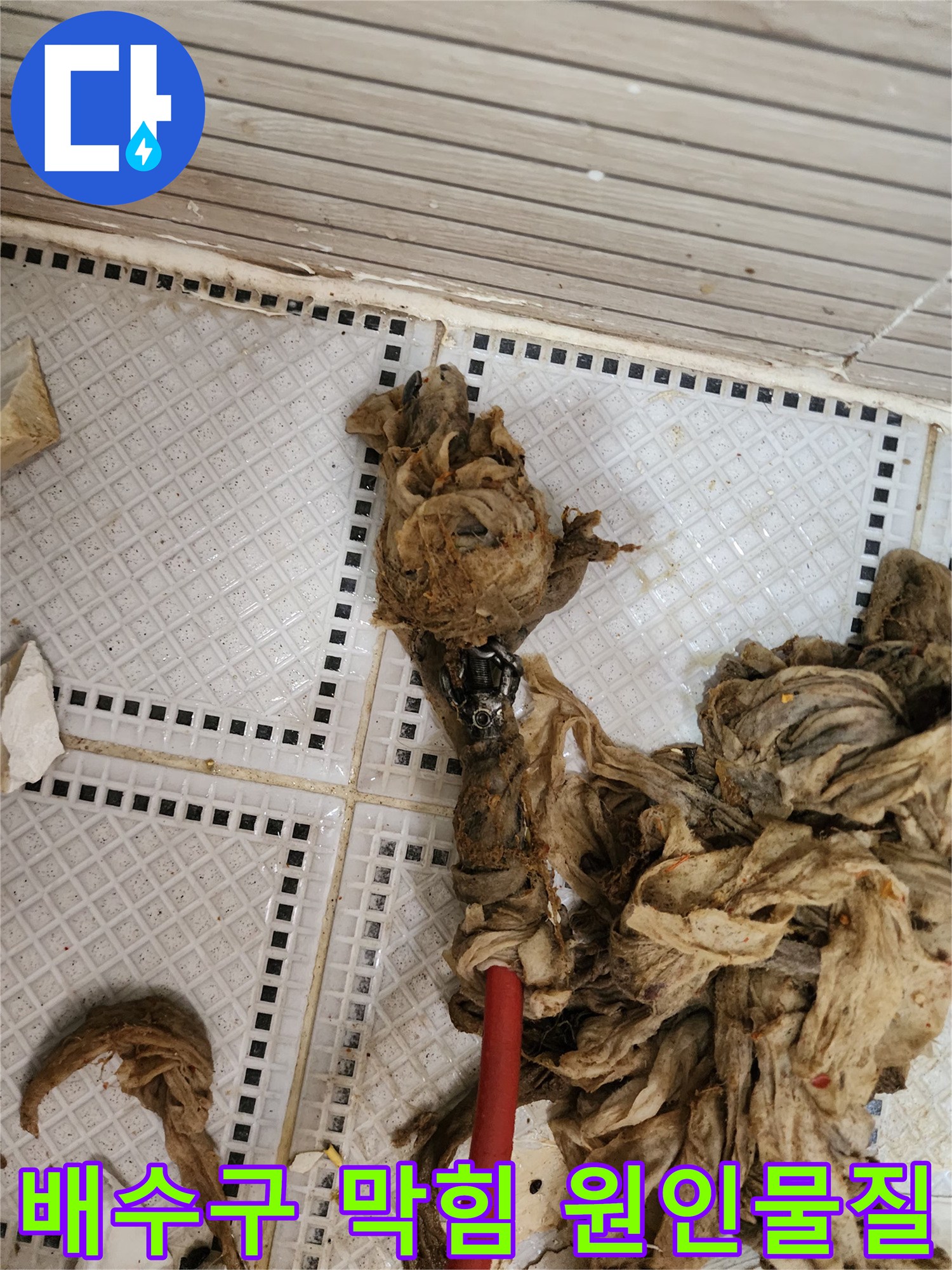 배관 속에서 끄집어낸 머리카락과 오염된 섬유 찌꺼기