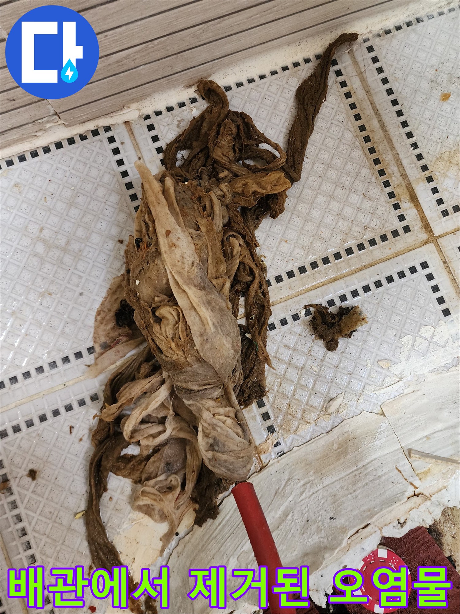 상계동 화장실 배수구 막힘의 원인이 된 머리카락 뭉치와 슬러지
