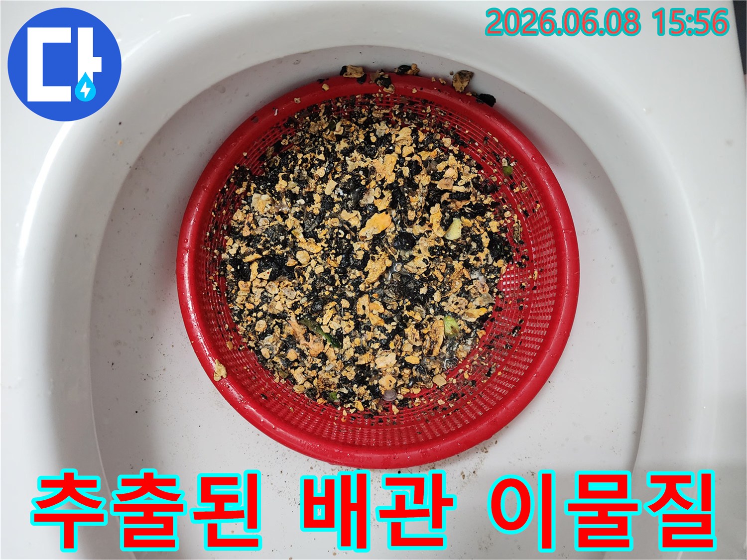 배관 청소 후 채반에 모인 기름 슬러지와 오물 찌꺼기