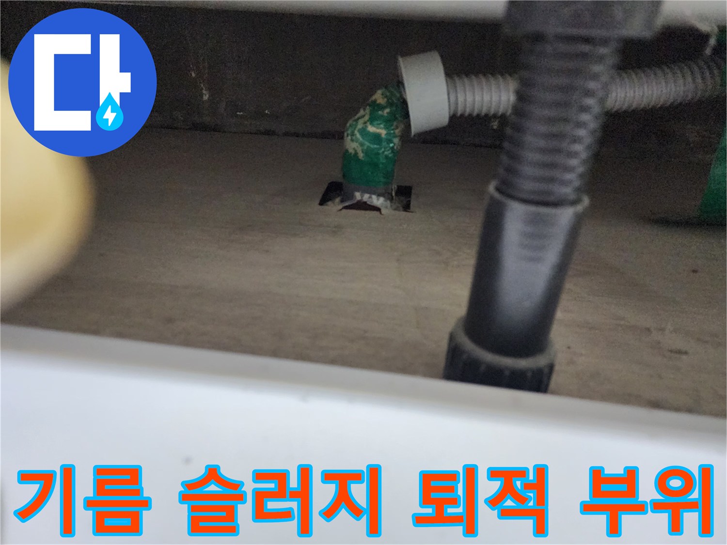 중구 싱크대-배관 입구의 녹색 기름 덩어리