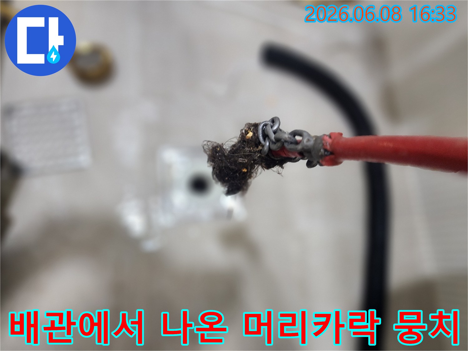 배관 스케일링 작업 중-추출된 머리카락과 이물질 덩어리