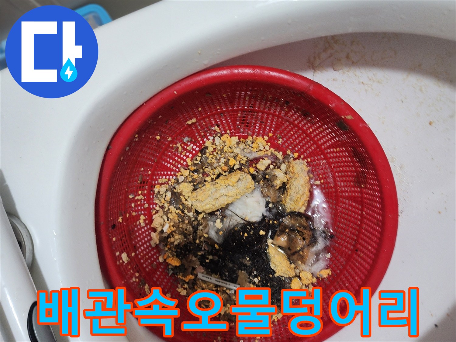 배수구-스케일링-후-추출된-이물질-및-머리카락