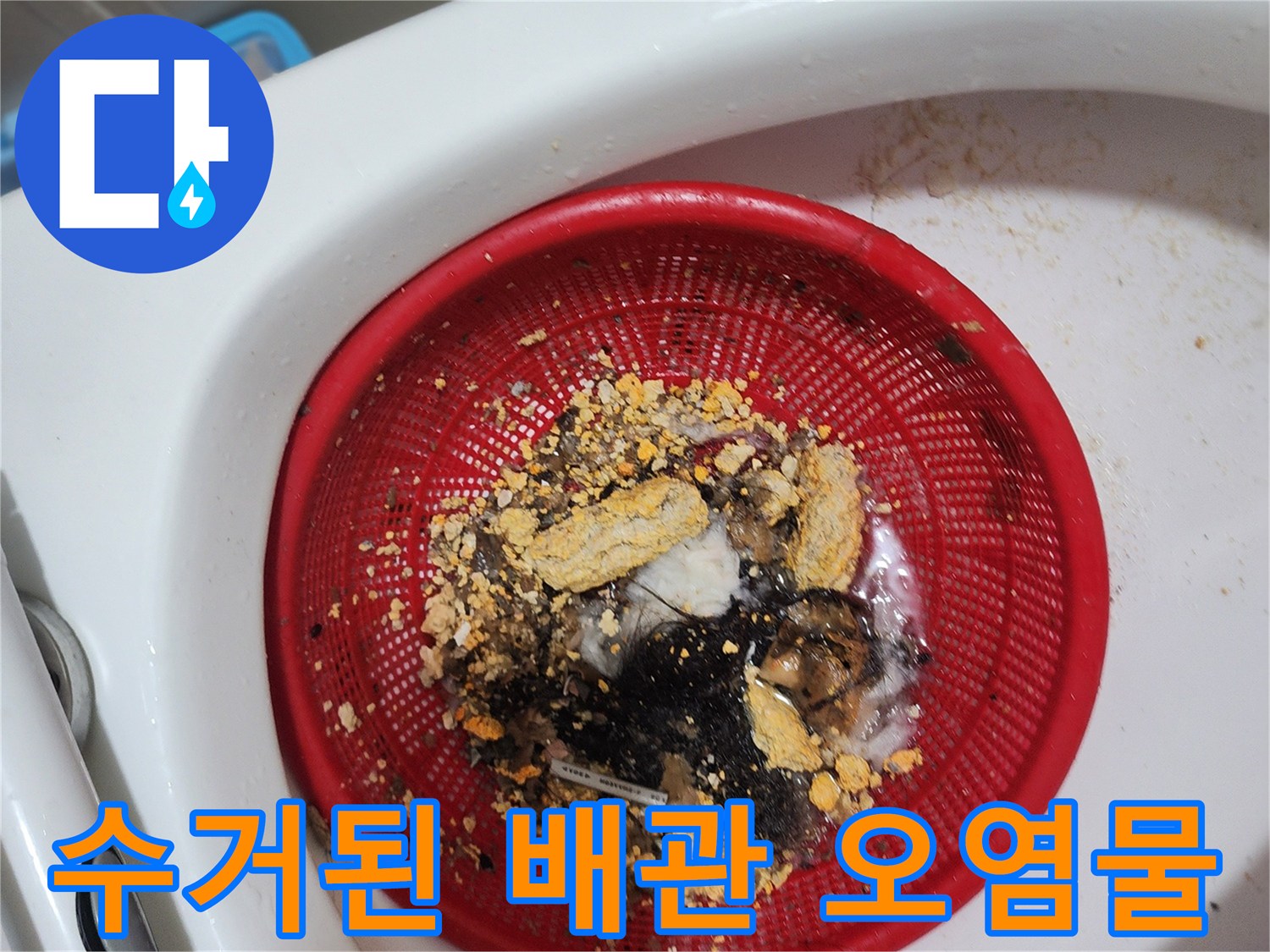 배수구에서 끌어올린 머리카락과 슬러지 덩어리