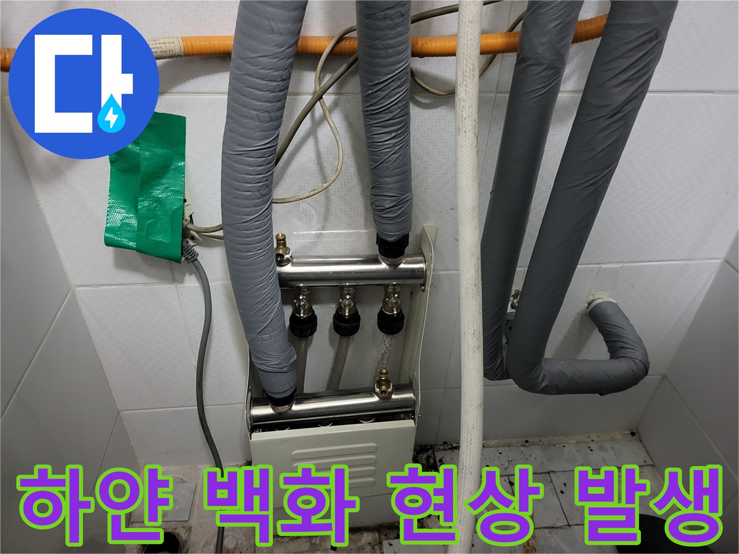 분배기 주변에 하얗게 일어난 백화 현상 사진