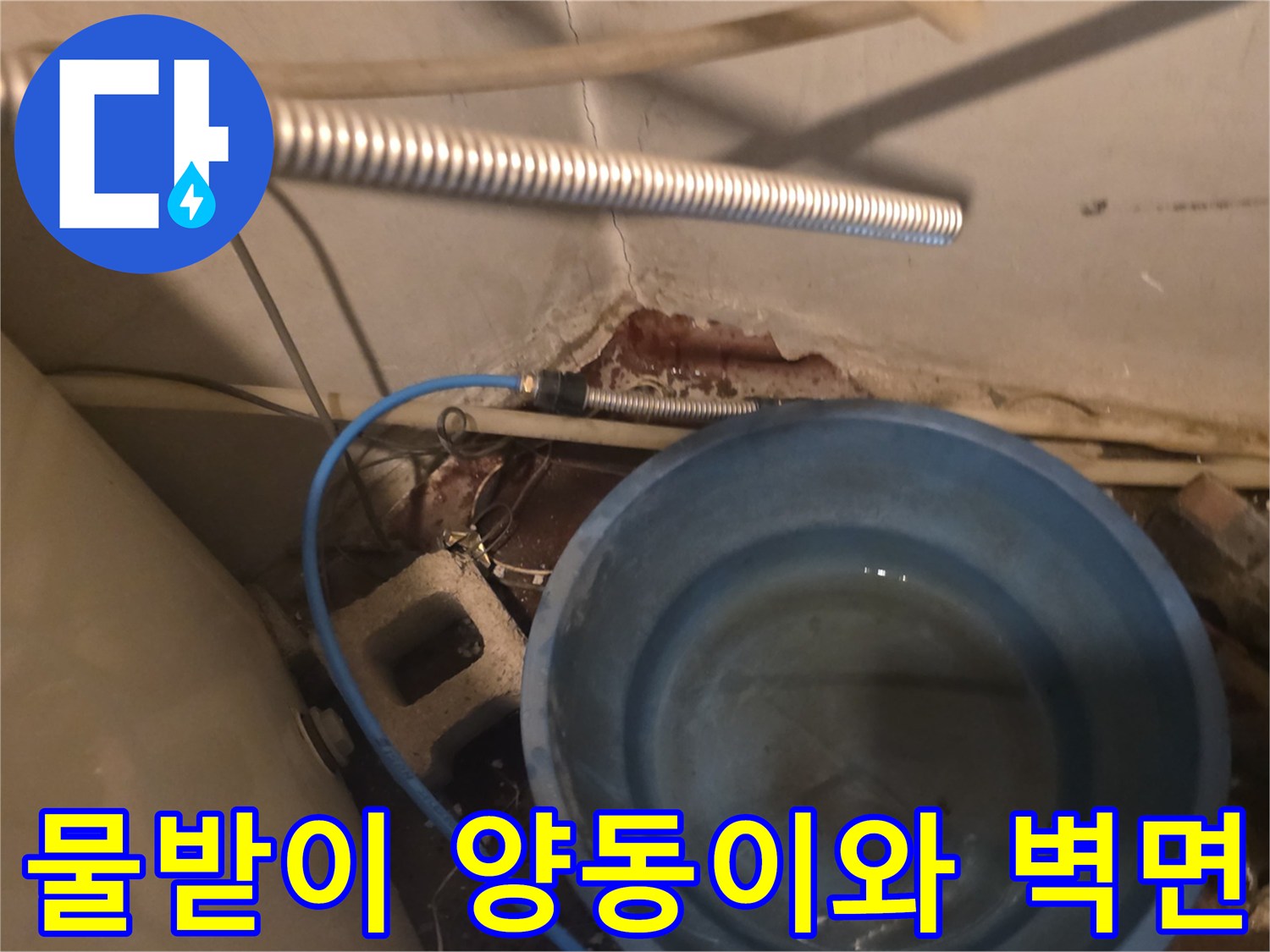 누수를 받기 위해 배치된 양동이-벽면 균열 부위