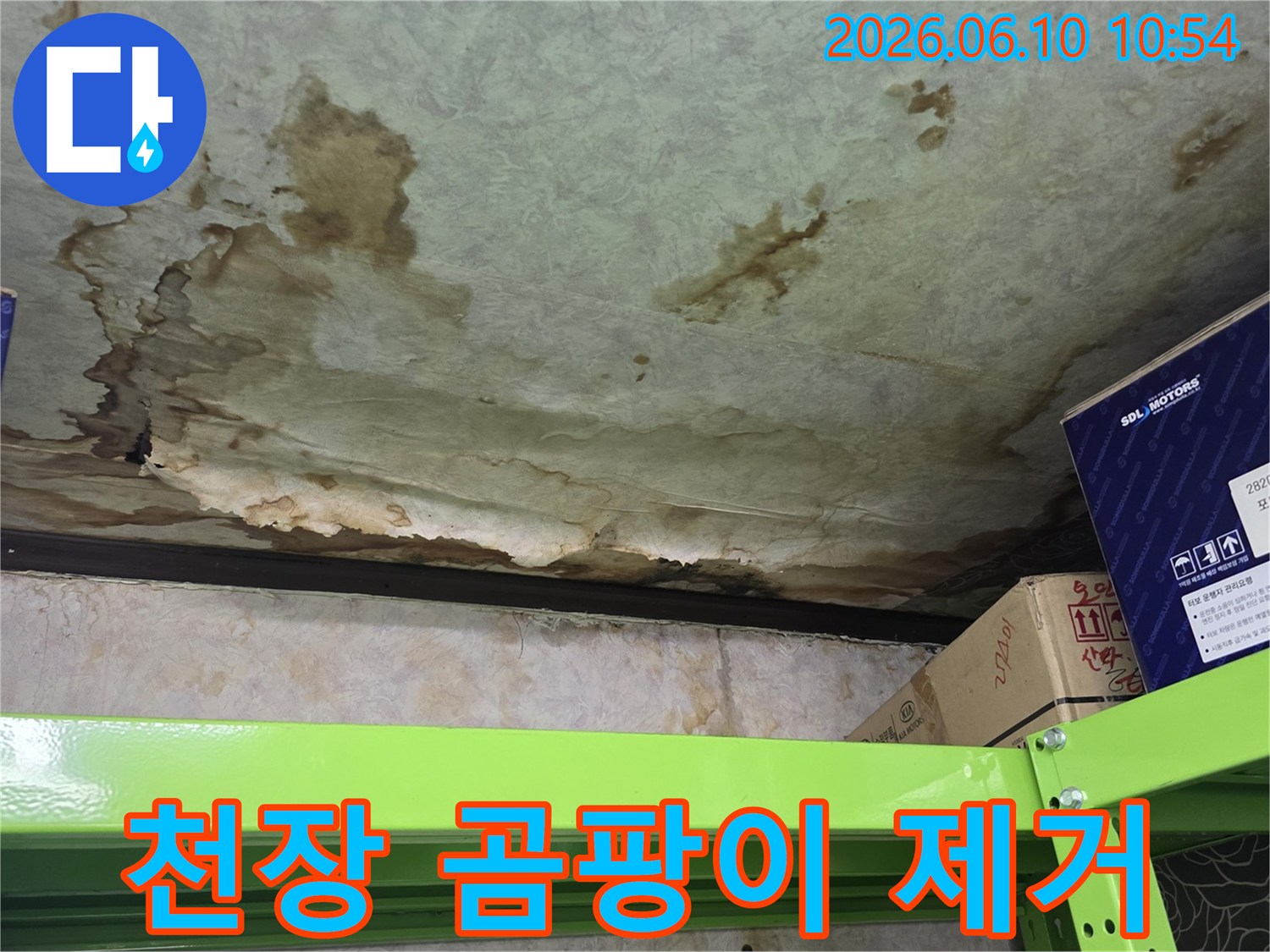 천장-곰팡이-제거-쾌적한-환경-조성