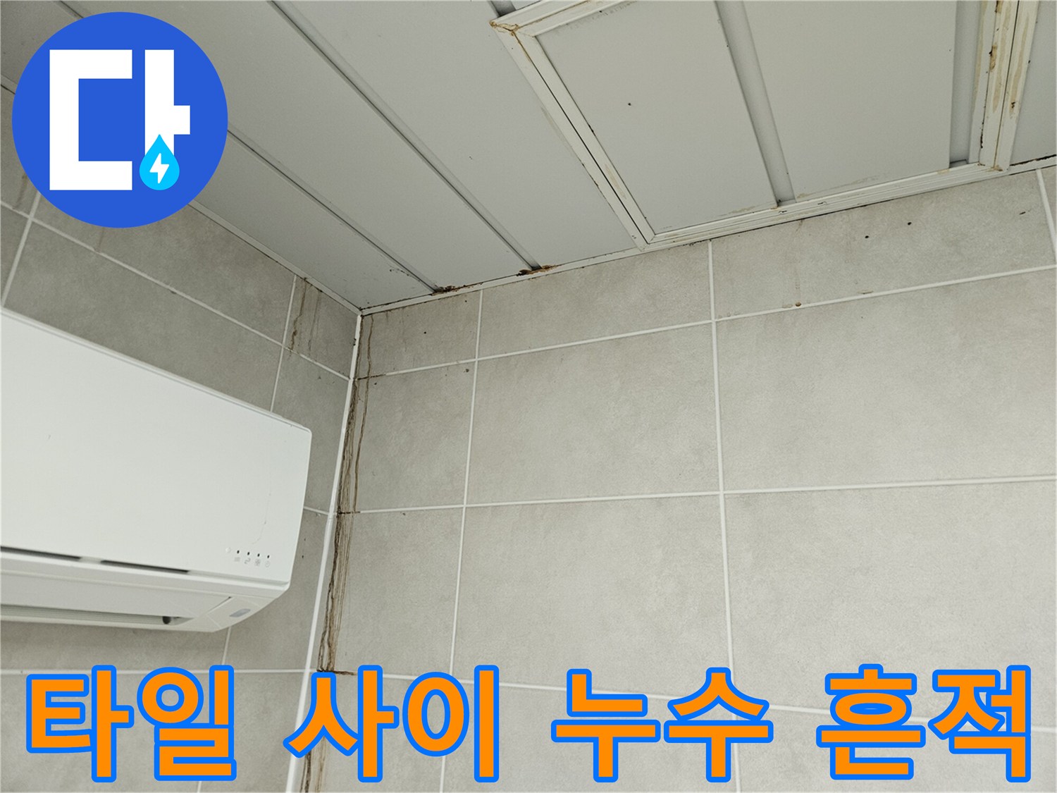 조종면 세탁실-벽면 타일에 나타난 누수 자국