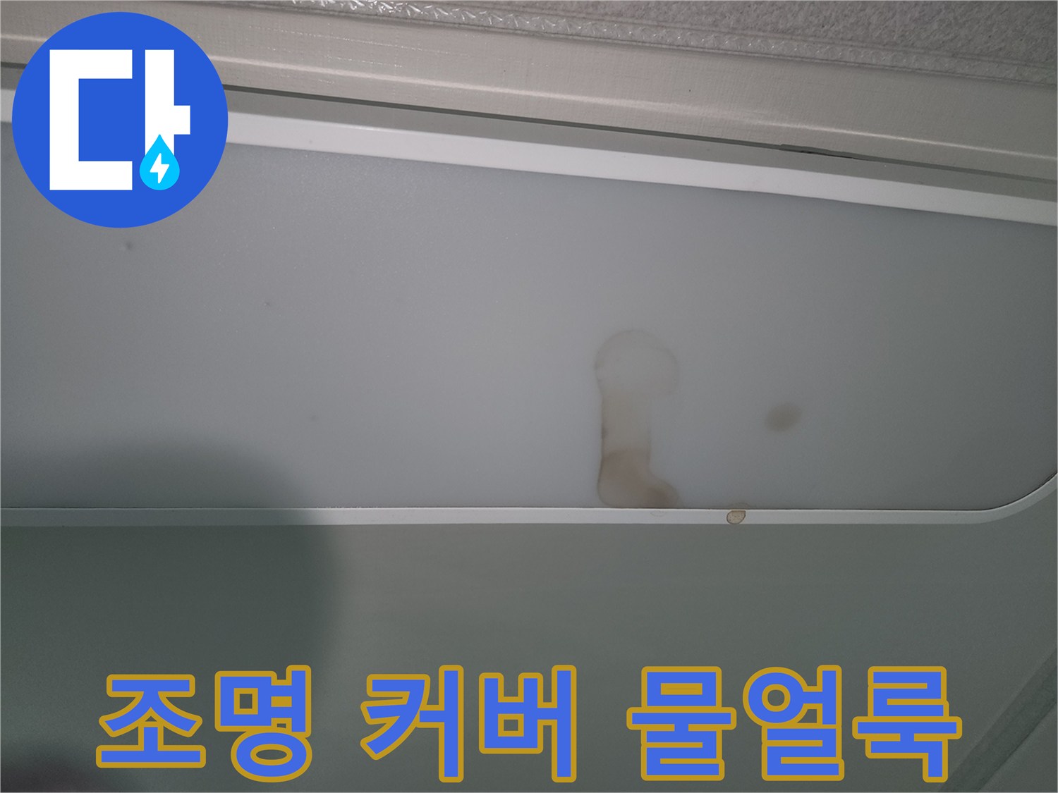 천장-조명-커버에-발견된-누수-얼룩-사진
