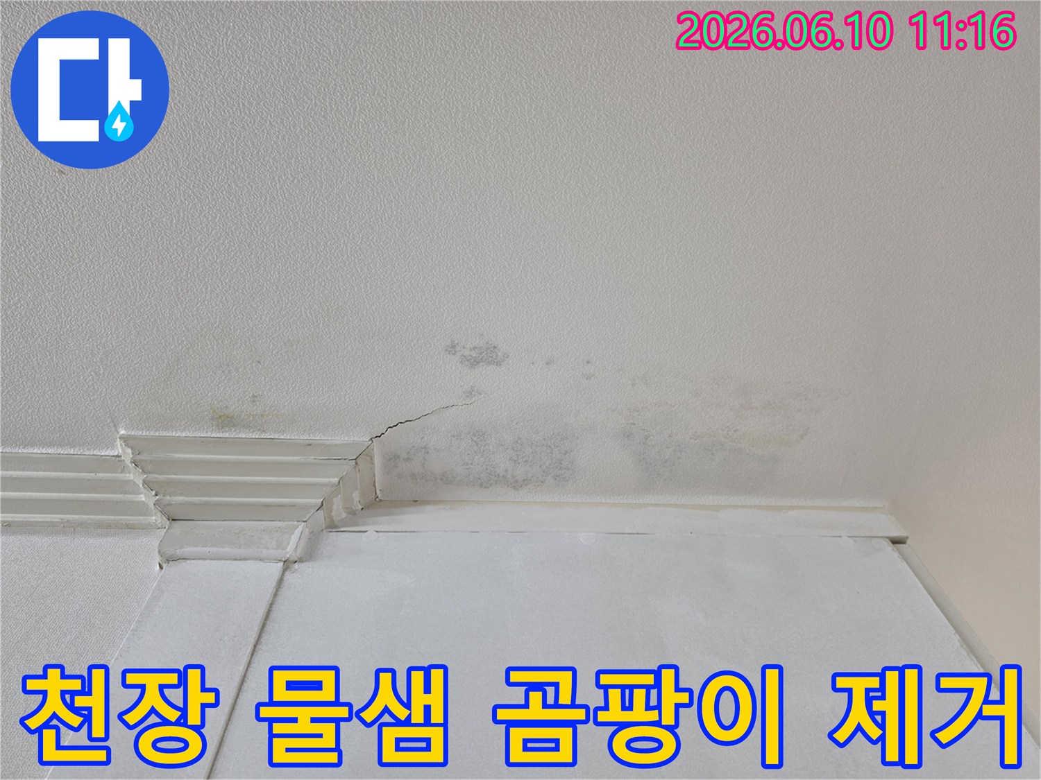천장에서 물이 새어-발생한-광범위한-곰팡이와-얼룩을-제거하는-공사-현장입니다