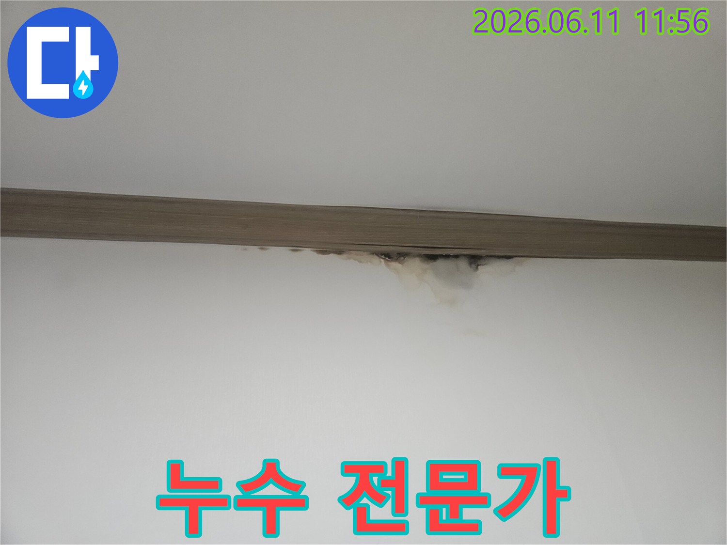 천장과 벽의 경계에-누수로 인한 물자국과-곰팡이가 발생하여-전문가의 도움이 필요한 현장