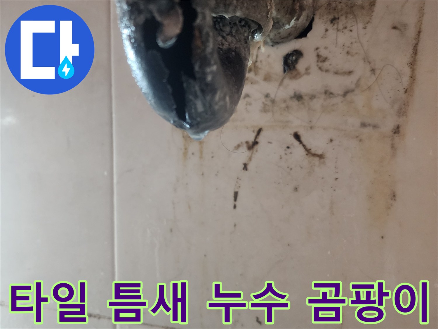 타일-틈새와-배관-주변에-발생한-심각한-곰팡이와-누수-흔적을-보여주는-이미지입니다