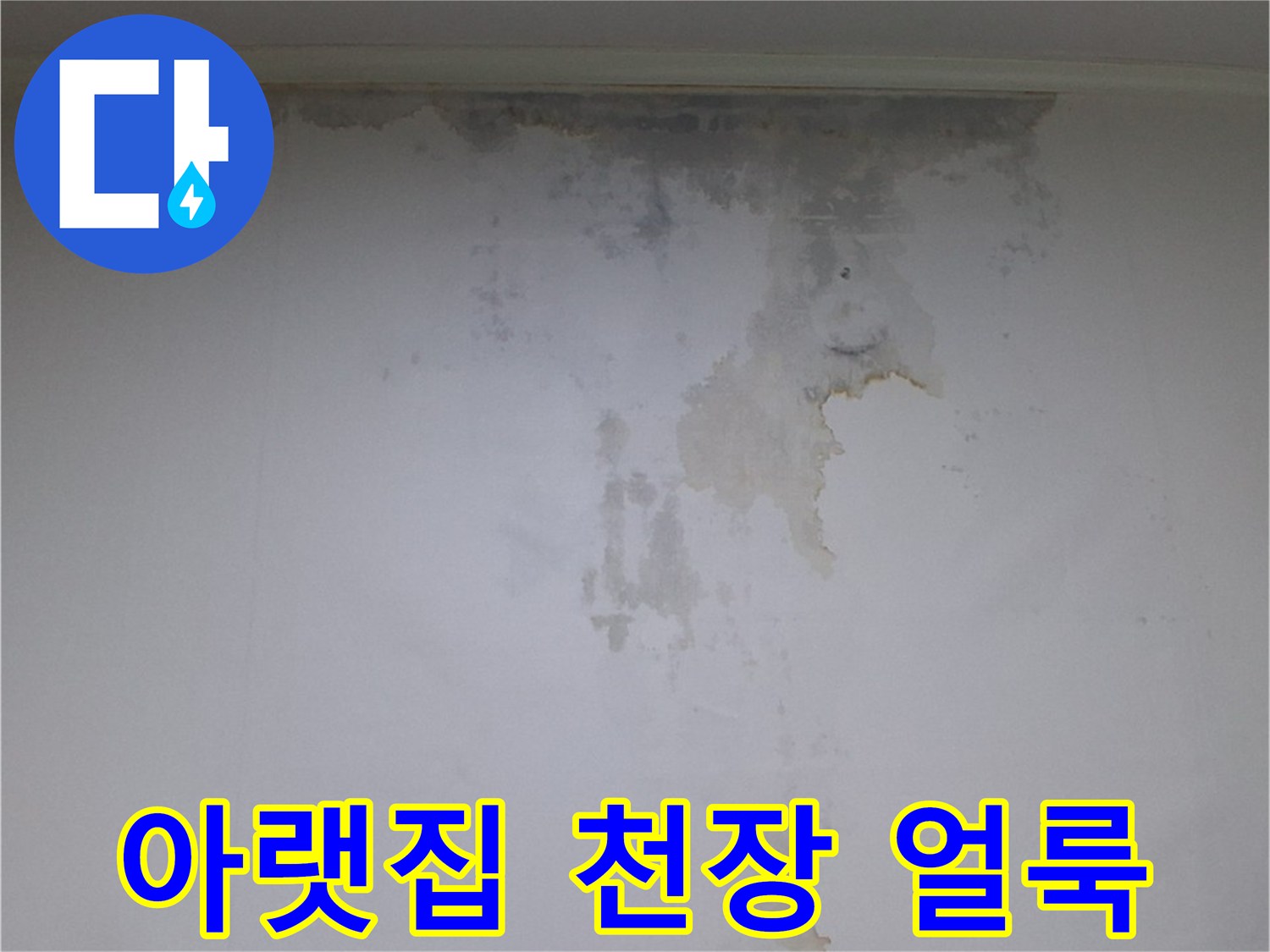 시흥 진말동 아파트-아랫집 천장 벽지 물샘 및 곰팡이 흔적
