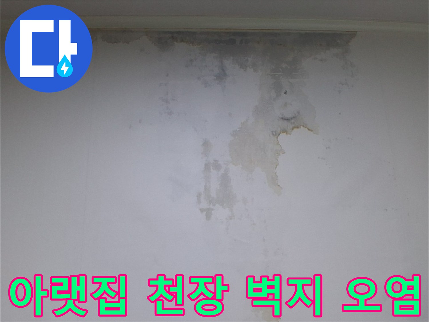 시흥 진말동 아파트-천장 벽지 곰팡이 및 물자국 현상