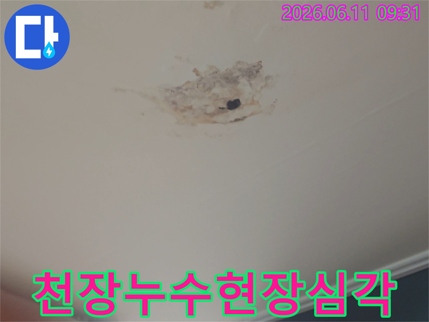 천장에서-물이-새어-곰팡이가-피어난-심각한-누수-현장-사진
