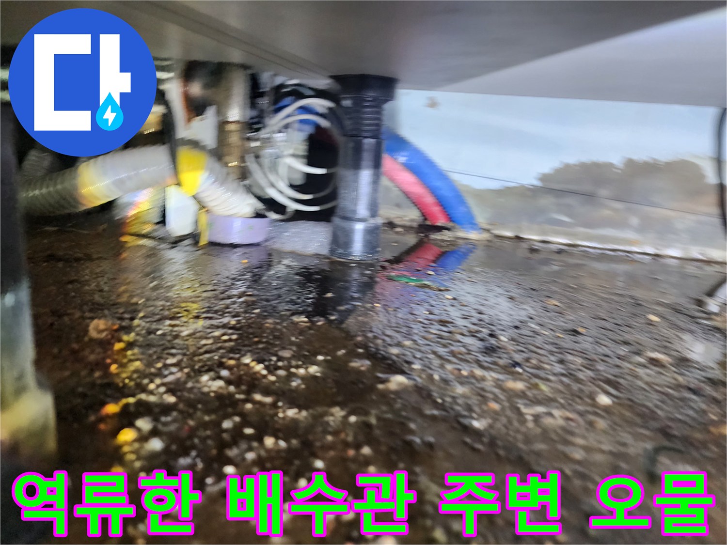 인천 서구 마전동 싱크대 밑 - 역류로 인한 바닥 오염과 슬러지 퇴적