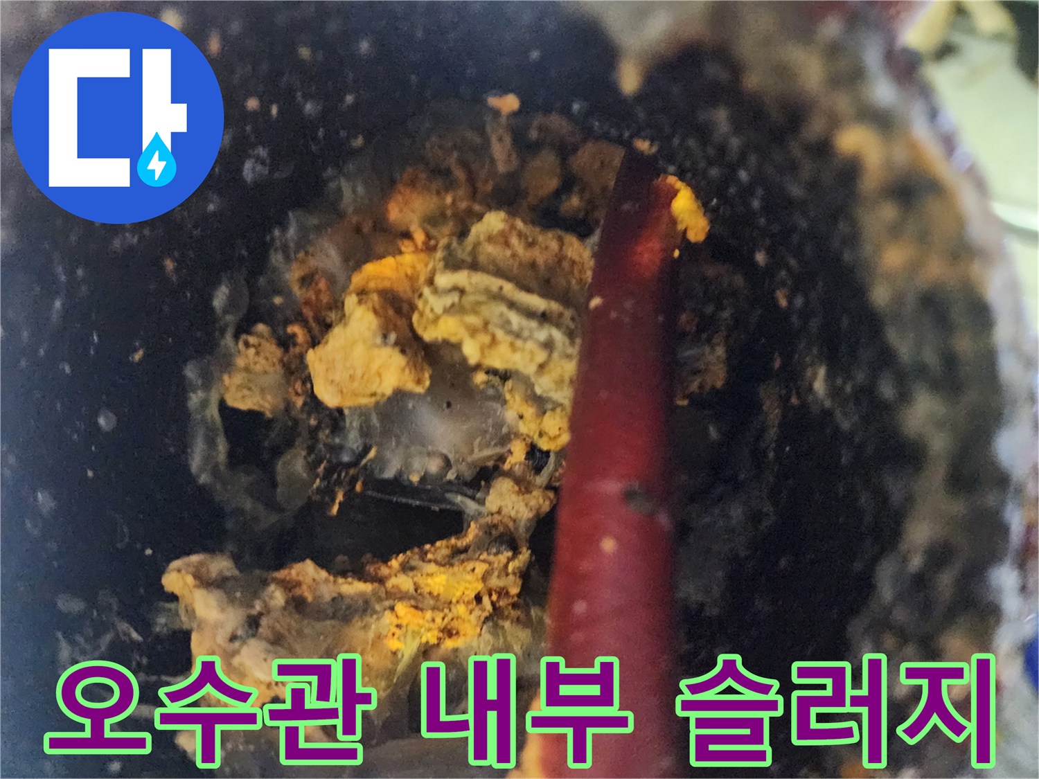 강서구 염창동-오수관 내부에 가득 찬 노란색 기름 슬러지와 이물질 상태