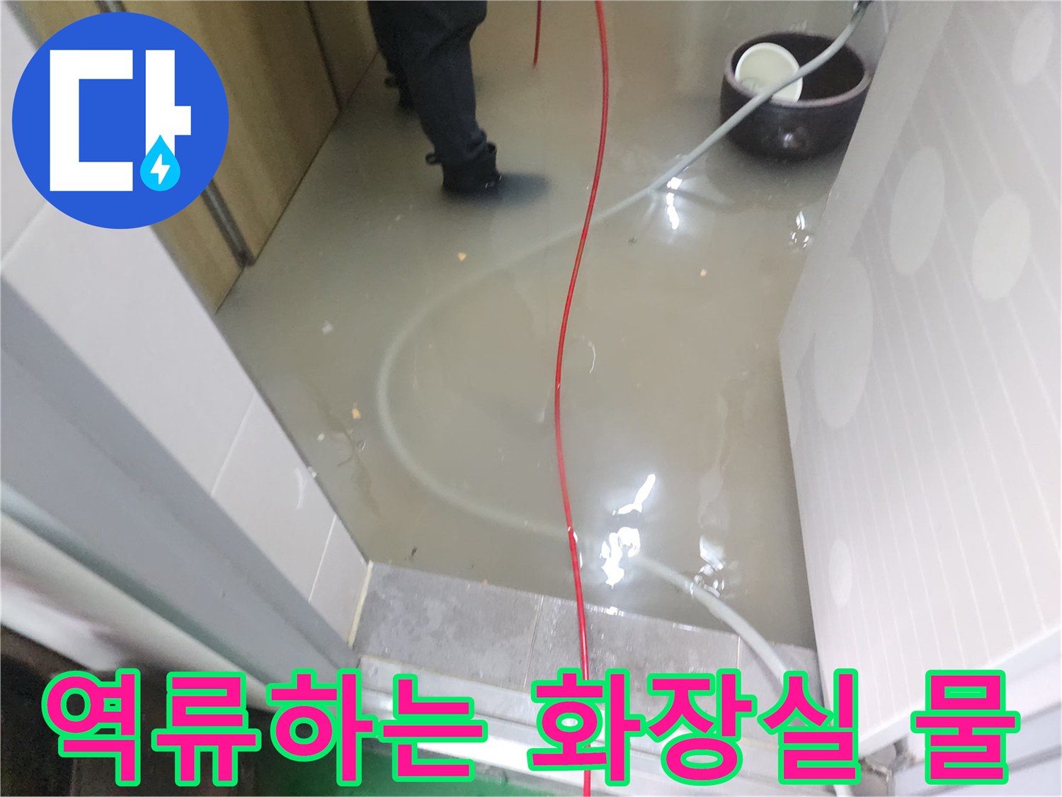 하수구 역류로 인해 물이 차오른 상가 화장실 내부 전경