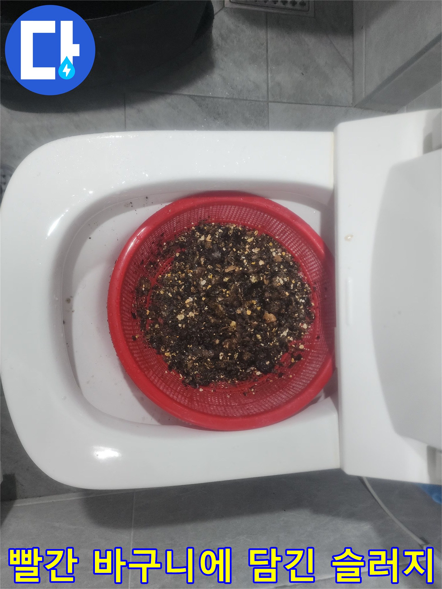 싱크대 배관에서 추출된 기름 슬러지와 음식물 찌꺼기 모습