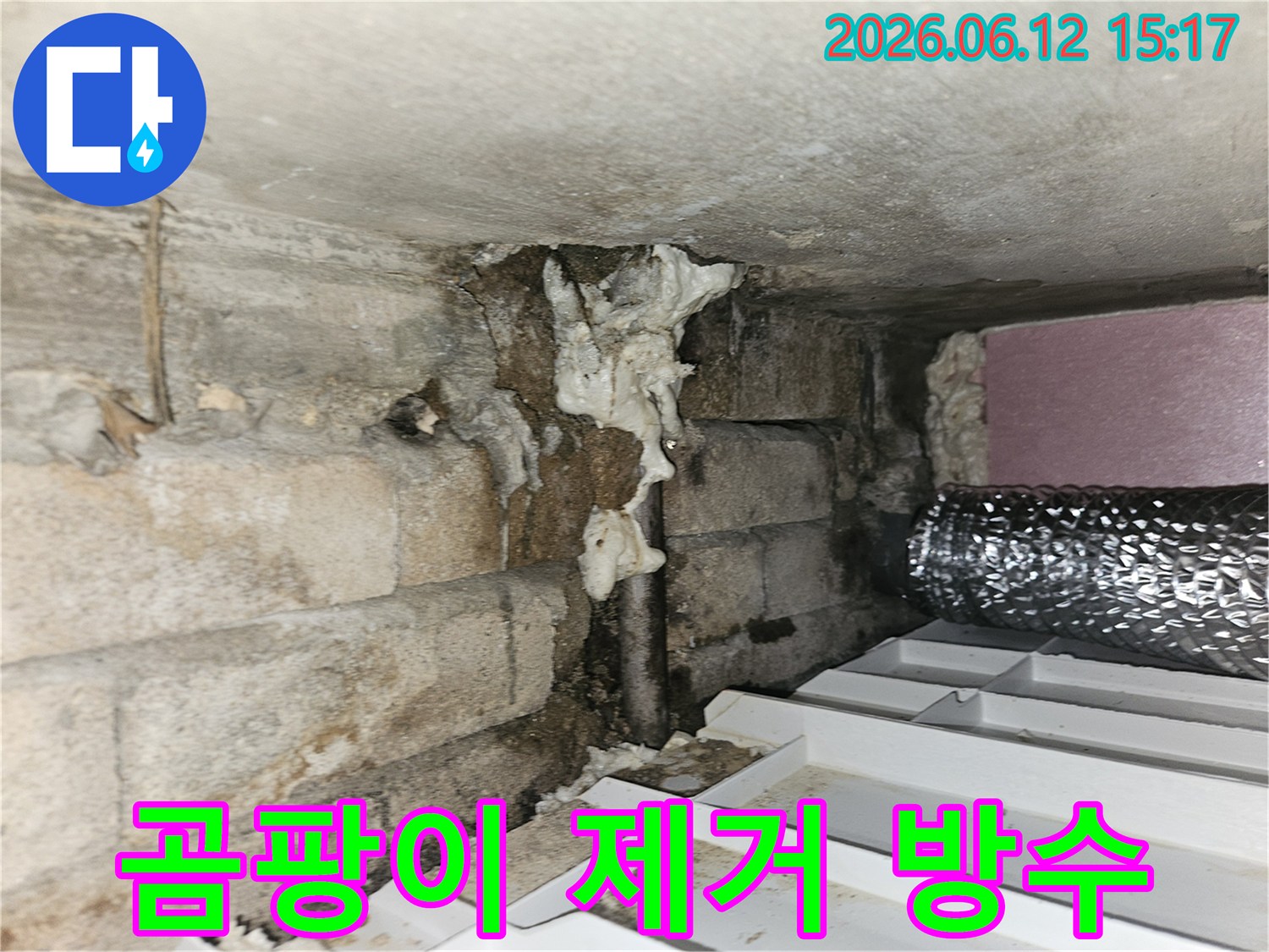 노원구-상계동-상가-벽면-곰팡이-제거-완벽-방수-현장-사진